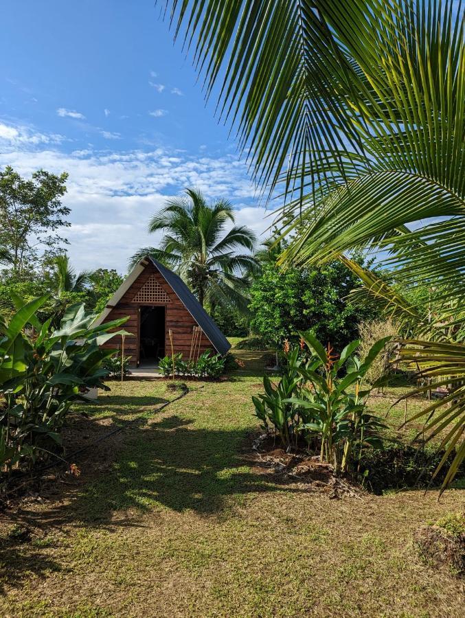 Bewak Cr Tortuguero Exterior foto