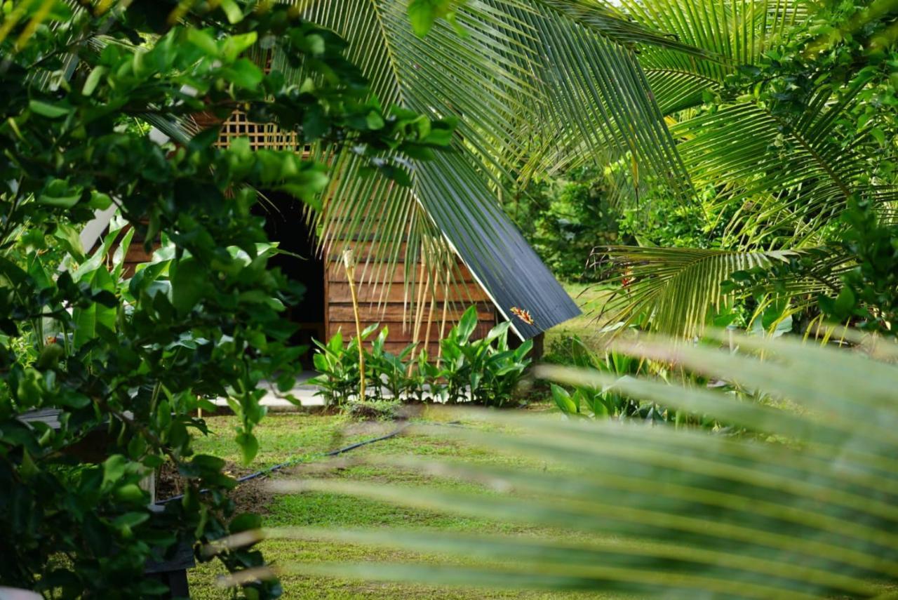 Bewak Cr Tortuguero Exterior foto