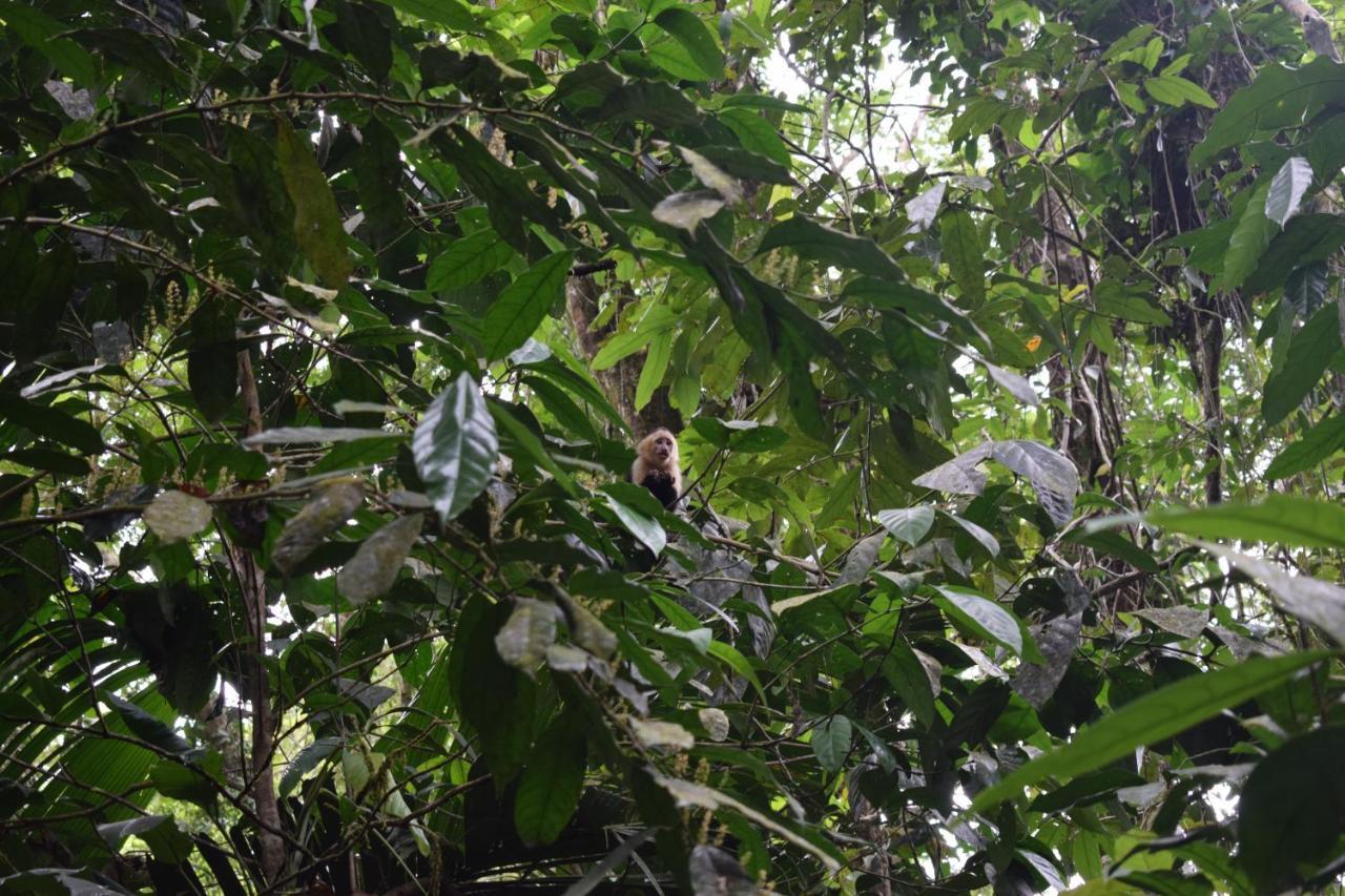 Bewak Cr Tortuguero Exterior foto