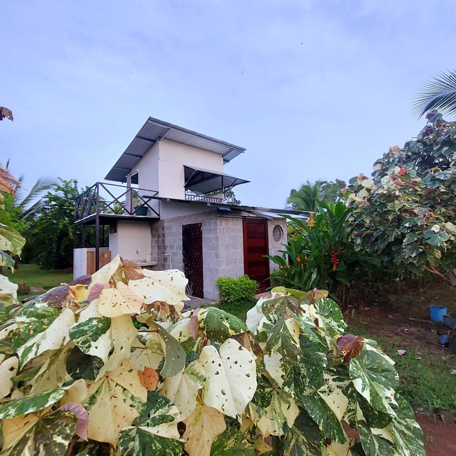 Bewak Cr Tortuguero Exterior foto