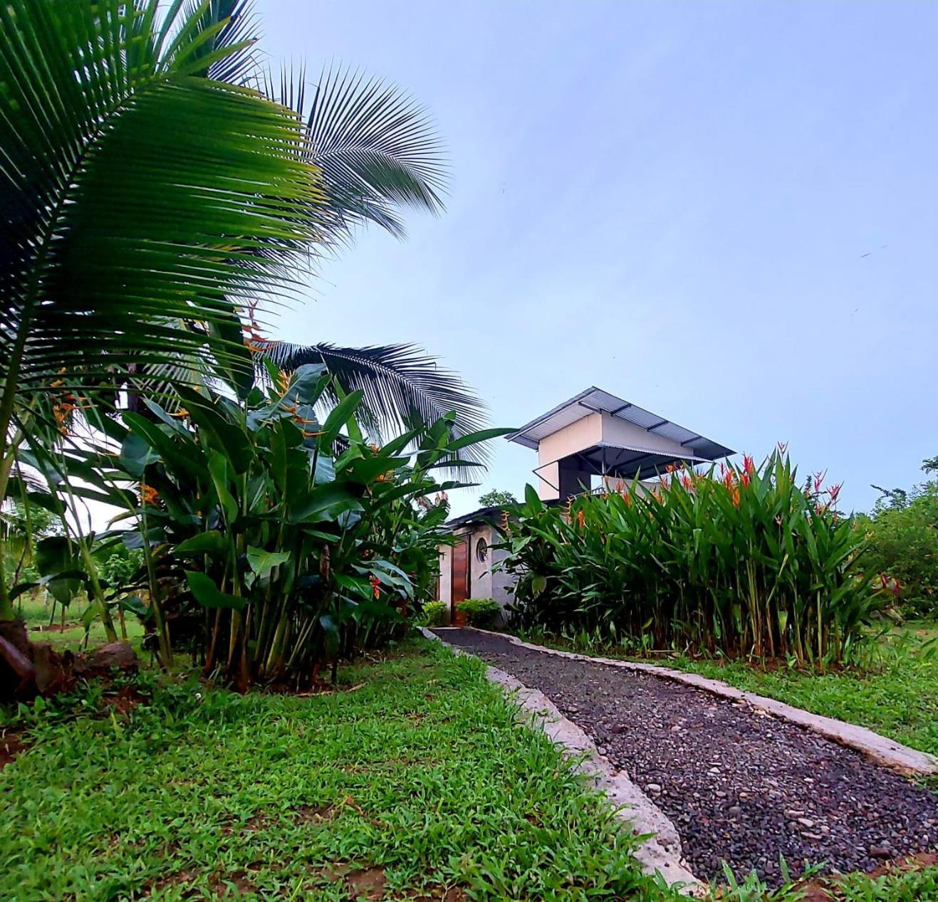 Bewak Cr Tortuguero Exterior foto