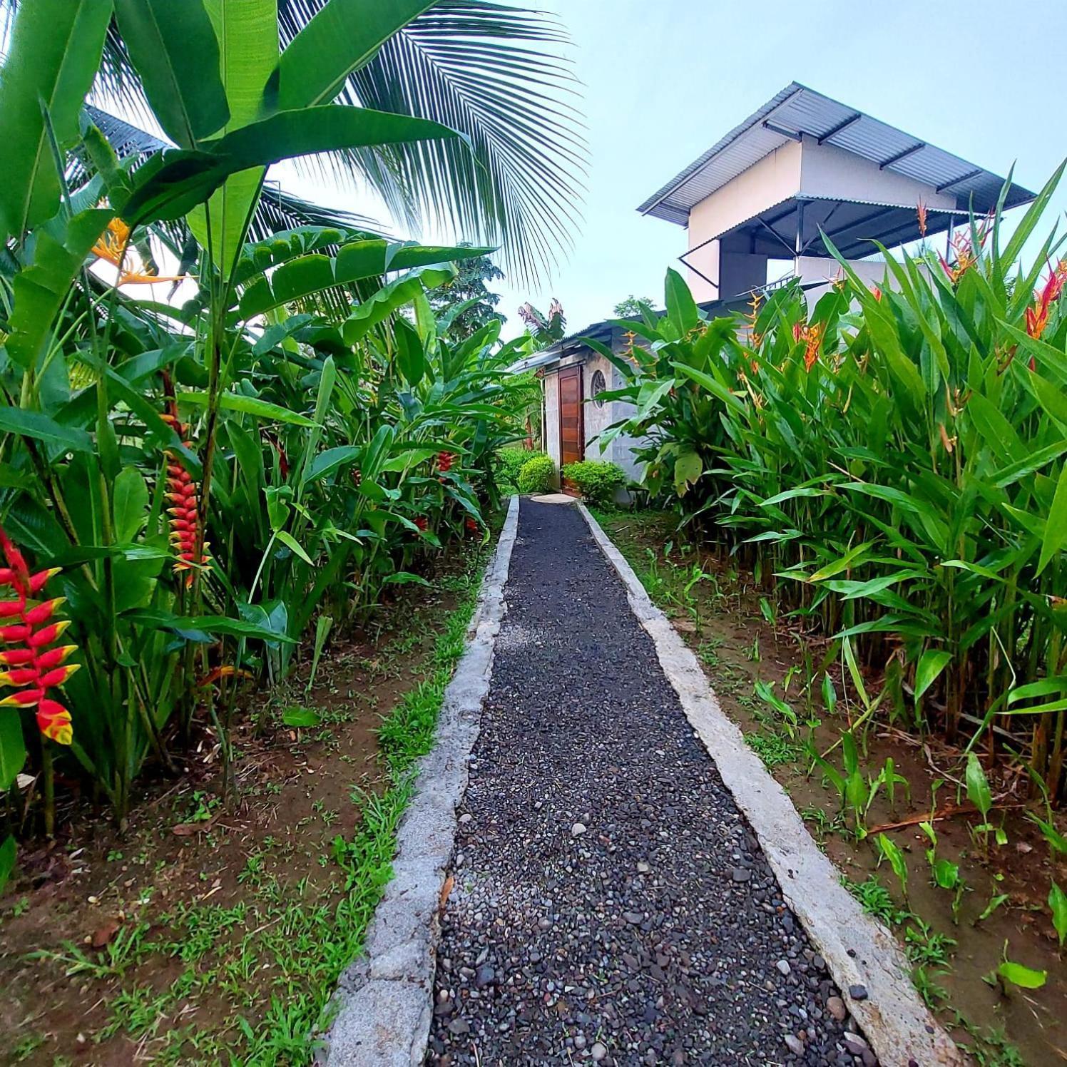 Bewak Cr Tortuguero Exterior foto